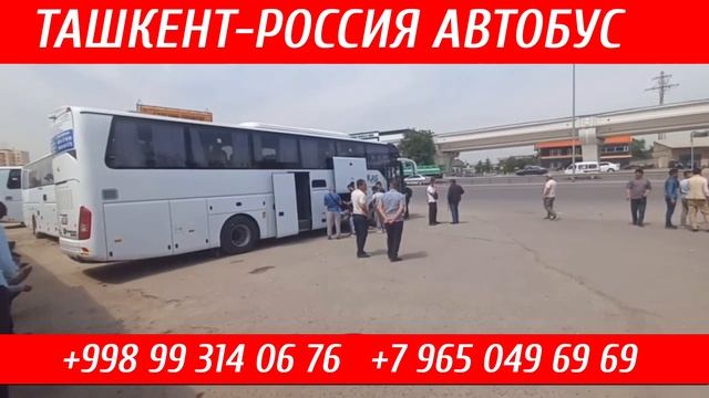 Ташкент Красноярск автобус #ташкент #коасноярск #автобус