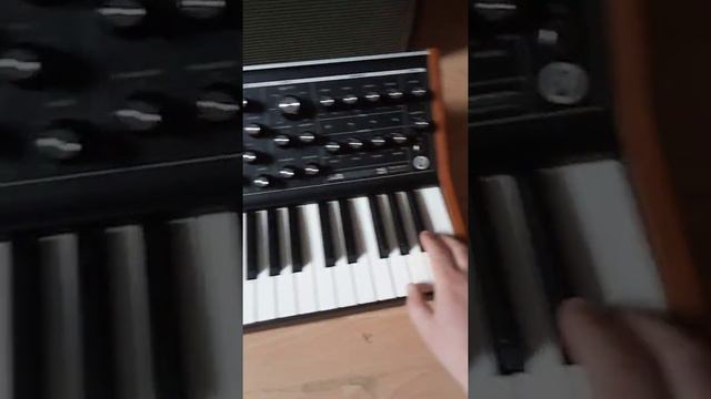 analog Moog synth into tube Marshall