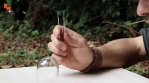 самый больной укус на планете муравей пуля, перевод \ озвучка