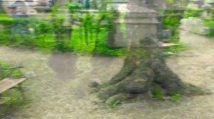 НЕКРОПОЛЬ АЛЕКСАНДРО-НЕВСКАЯ ЛАВРА в Санкт-Петербурге.. прогулка и обзор памятников..