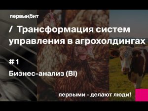 Часть 1: Бизнес-анализ (BI) в агрохолдингах