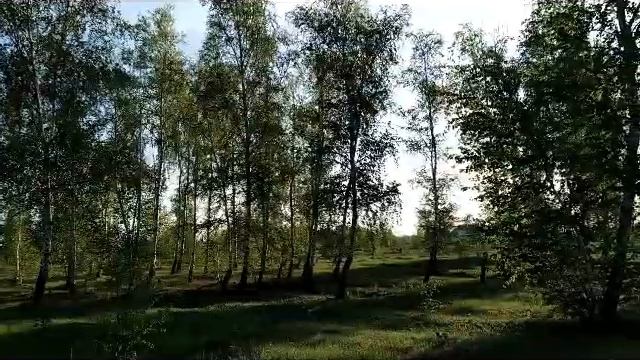 Народные приметы на 6 мая – Юрьев день, Егорий вешний
