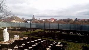 Теплица из ПРОФИЛЬНОЙ ТРУБЫ. Устанавливаем СТОЛБЫ.Greenhouse made of metal. 12.11.2019г.