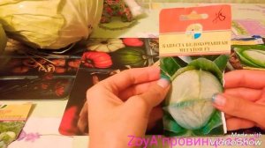 Капуста!!! Сезон урожая. Сорта капусты ...