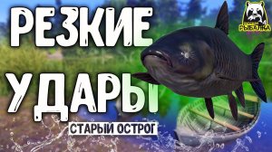 RF4 УДИВИТЕЛЬНО РЕЗКИЕ УДАРЫ УДИЛИЩ #рр4