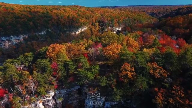 21 августа 2020 г. Аффирмации на позитив Настрой свой мозг на позитив #аффирмации #афирмации смотреть онлайн