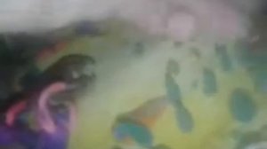 Пластичная эволюция 5 часть