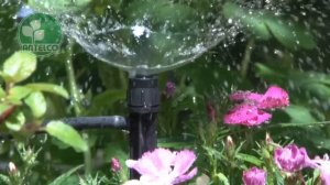 Antelco Spectrum™ 360° Adjustable Flow Irrigation Sprays Installation