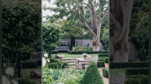 Высокорослые деревья на загородном участке