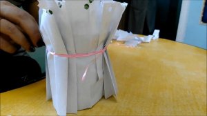 САМЫЙ сказочный ОГОРОД на окне в детском саду! Проект «ДИСНЕЕВСКИЙ ОГОРОД» и ПРЕЗЕНТАЦИЯ в стихах