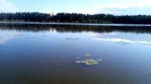 Озеро Валькеаярви(Васкела)- временное окупационное название Белое(Васкелово).