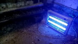 Как избавиться от мух. Защита перепелов от насекомых!