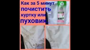 Как БЫСТРО ПОЧИСТИТЬ грязные места у куртки или пуховика.