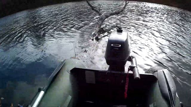 ЛОВЛЯ ОКУНЯ НА ЖИВЦА 2020 смотреть онлайн