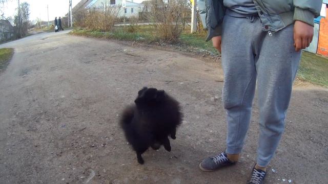 Служу за сосиску смотреть онлайн