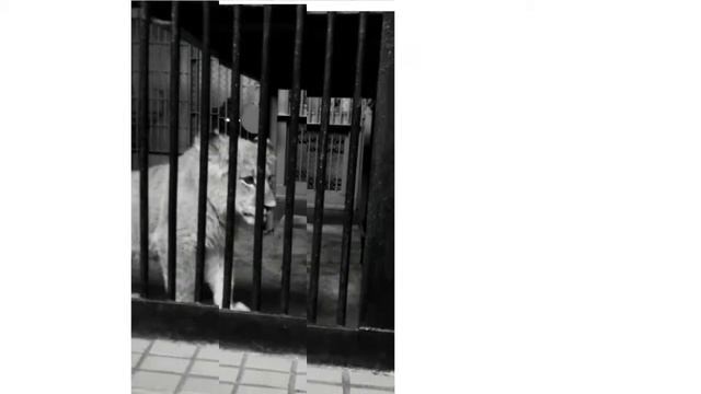 Наш отдых в Николаеве но Джени тут ещё не было смотреть онлайн