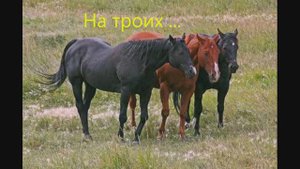 65 Валерий Ковтун - Ламбада