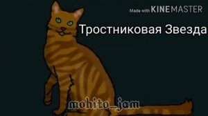 🌲Все предводители Речного племени🦋 by:Mohito_jam