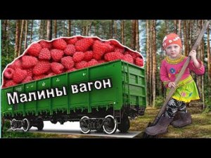 Набрали малины вагон  Даша исполняет калинку малинку Деревенская жизнь Зауральского подворья
