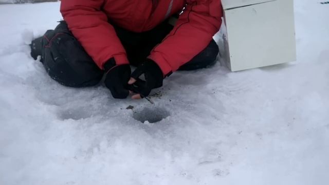 Зимняя ловля плотвы на Чистых прудах смотреть онлайн