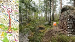 Спортивное ориентирование (headcam orienteering) - Камни Карельского Перешейка 2022 лонг 14.06.22