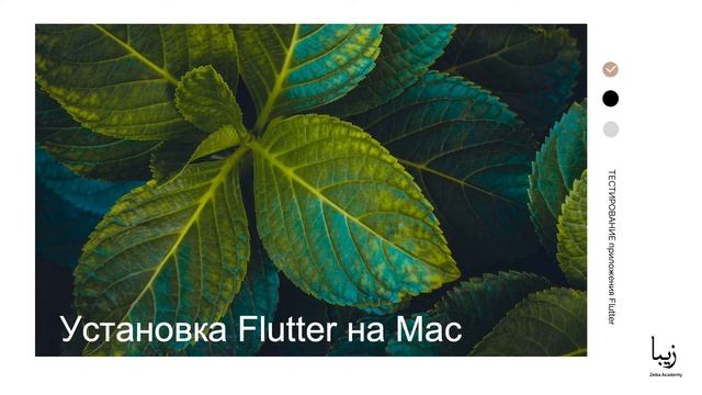 Начало работы с Flutter. Установка