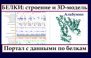 Белки. 3D-модель третичной структуры. Портал данных по белкам (Биохимия).