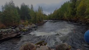 Ориярви