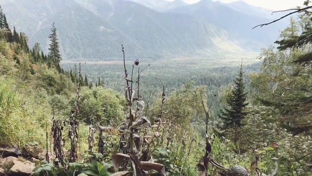 Хамар-Дабан. Однодневный поход к пику Тальцинский. Чаепитие на горном озере.