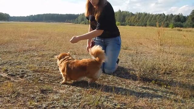 Метис Соня, вольты и прыжки смотреть онлайн