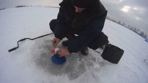 зимняя рыбалка на Московском море -Иваньковском водохранилище )