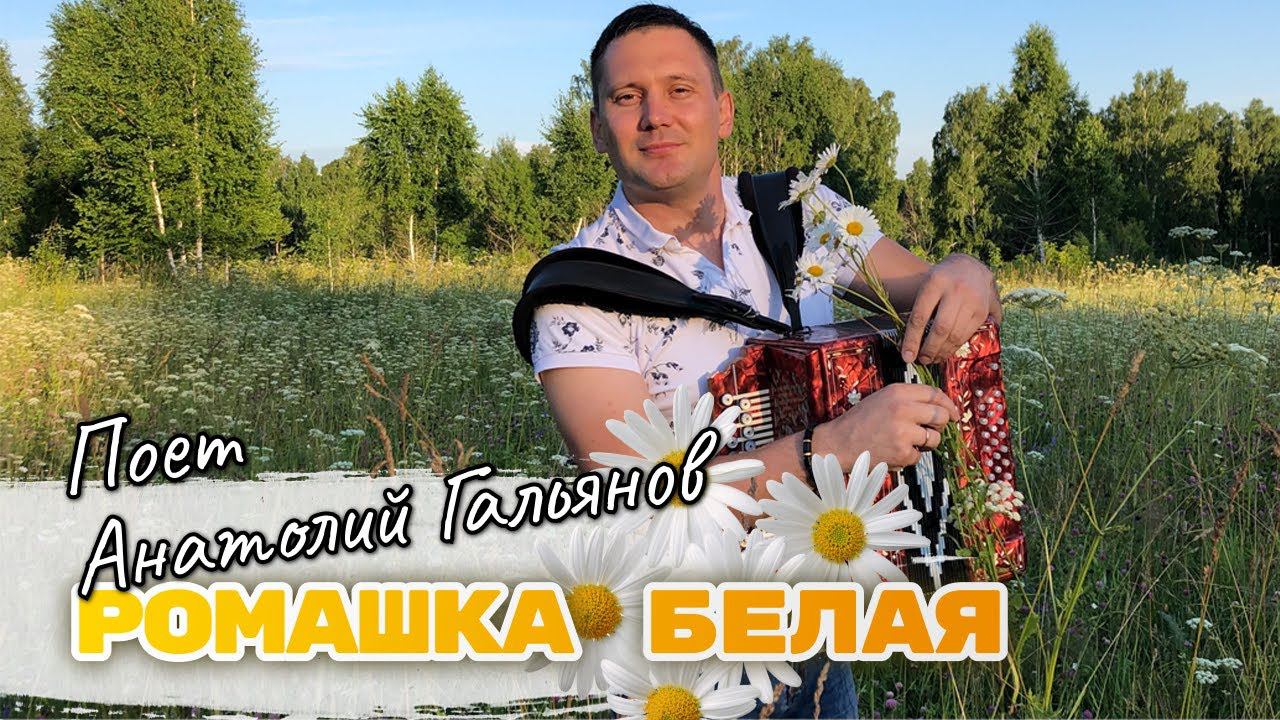 ПЕСНЯ ЗА ДУШУ БЕРЕТ/РОМАШКА БЕЛАЯ