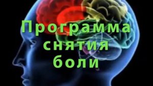 Программа снятия или облегчения боли