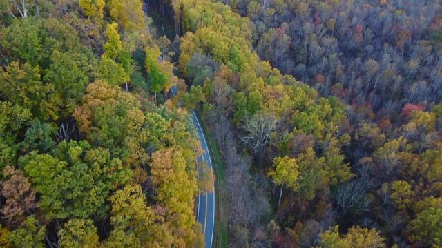 Как Путешествовать по-Американски? The Smokies (Национальный Парк Дымные Горы, США) смотреть онлайн