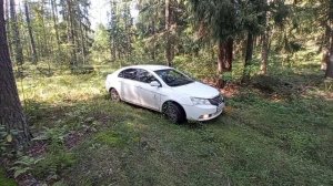 В ожидании чуда. Едем в лес на разведку после дождей
