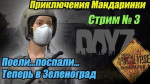 DayZ Apocalypse.Стрим №3. Идем в Зеленоград. Приключения Мандаринки. #bulldezeerdayz #bulldezeer