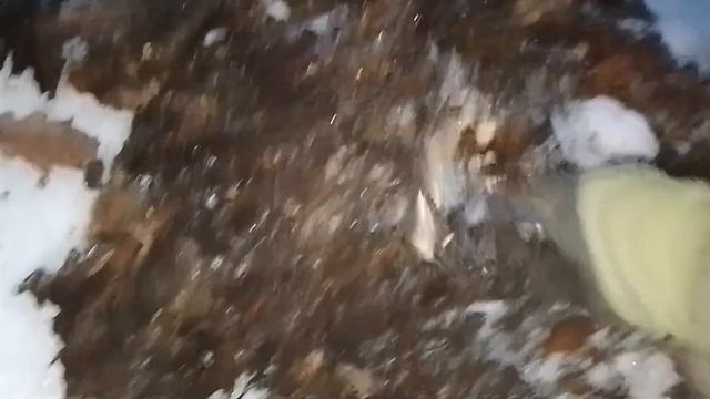 Поехал снова по дрова. Взял с собой quest-x5 и лопату. смотреть онлайн