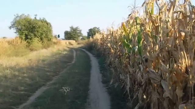 Samsung ST 65 Video Test All in one смотреть онлайн