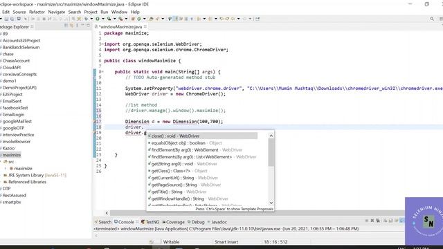 How to Maximize browser window in Selenium | Different Methods to maximize window or tabs | SN