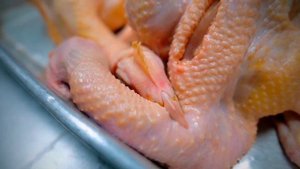 АМЕРИКАНСКАЯ Кухня / ОМУРАЙСУ - Японский ОМЛЕТ с Начинкой, Жареный РИС с Курицей и РАМЕН...