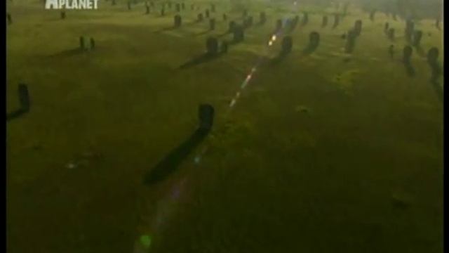 Термиты и термитники.wmv