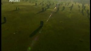 Термиты и термитники.wmv