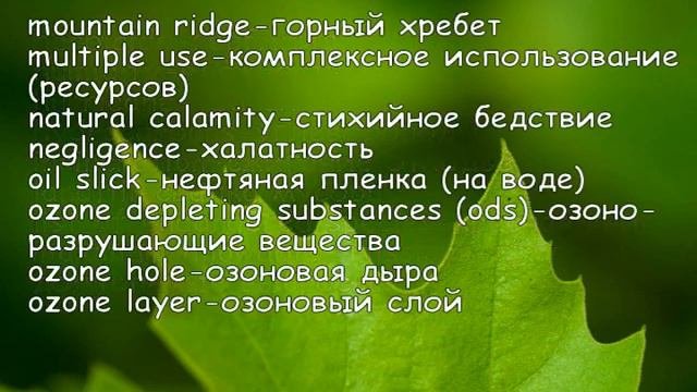 Ecology. Экология
