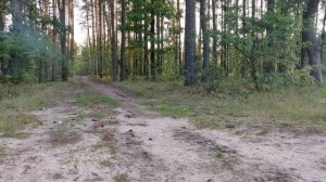 ✅🔥ВЗРЫВАЕМ ПЕТАРДЫ УПАКОВКАМИ 🔴 Цепная Реакция Петард 🔴ПОДОРВАЛИ ЦЕЛУЮ КУЧУ ПЕТАРД ОДНОВРЕМЕННО
