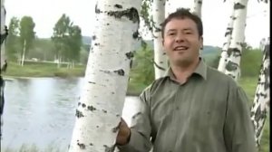 Инсаф Галимов   Жырым сина кучтэнэч