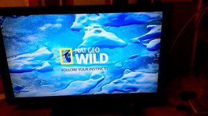 Канал Nat Geo Wild