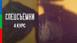 Макросъемка