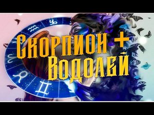 Тайны совместимости Скорпиона и Водолея