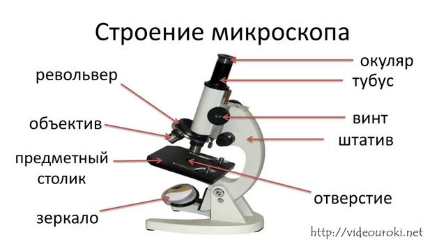 Устройство увеличительных приборов