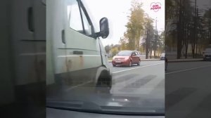 На то она и Газель, чтобы скакать.